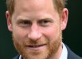 Prince Harry's 'charm offensive' plan to rehabilitate image exposed - Royals - News