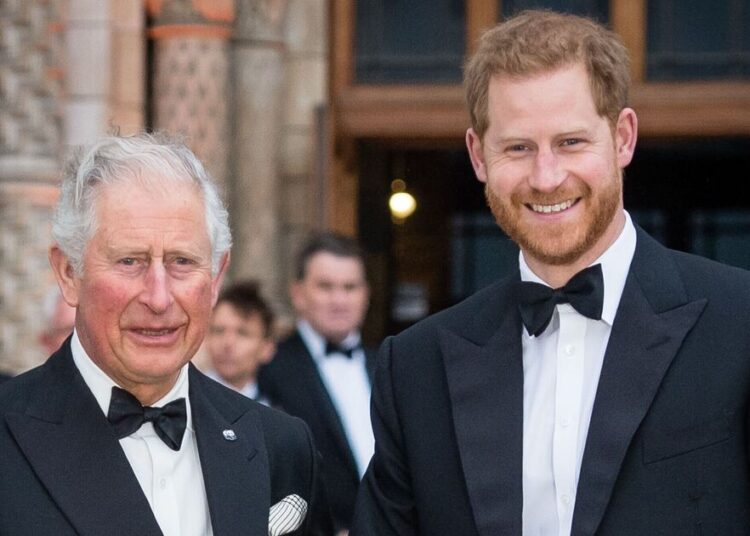 Prince Harry's motivation for King Charles reunion revealed - Celebrity News - Entertainment