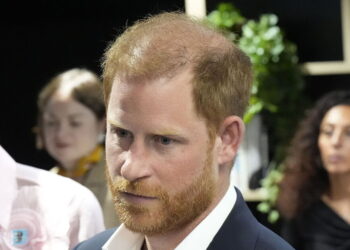 Prince Harry's plan to worm way back into royal family 'could never work' - Celebrity News - Entertainment