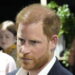 Prince Harry's plan to worm way back into royal family 'could never work' - Celebrity News - Entertainment