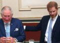 Prince Harry's real reason for wanting royal family reunion - Celebrity News - Entertainment