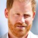 Prince Harry's royal reconciliation rests on one thing - Celebrity News - Entertainment