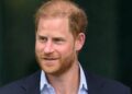 Prince Harry's trip dubbed 'huge success' as royal set for 'image reset' - Celebrity News - Entertainment