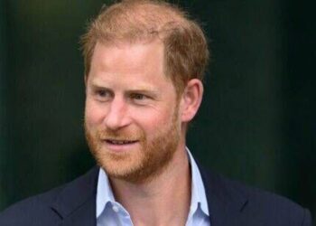 Prince Harry's trip dubbed 'huge success' as royal set for 'image reset' - Celebrity News - Entertainment