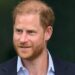 Prince Harry's trip dubbed 'huge success' as royal set for 'image reset' - Celebrity News - Entertainment