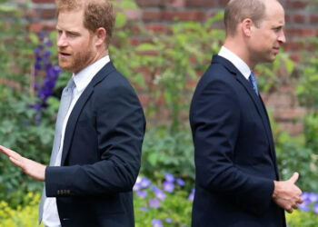 Prince William Keeping His Distance From Prince Harry, Reports Royal Expert — 'Reconciliation Is Not on His Agenda’