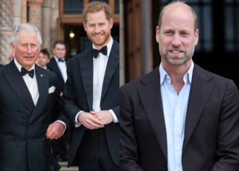 King Charles, Prince Harry, Prince William