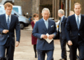 Prince William's Strong Opinion on Harry’s Meeting With Charles