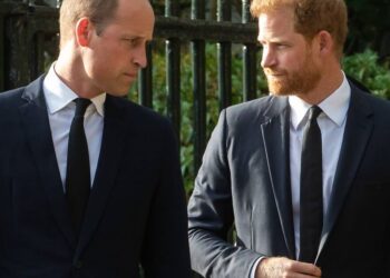 Prince William's 'resentment' towards Harry and 'disappointment' over meeting - Celebrity News - Entertainment
