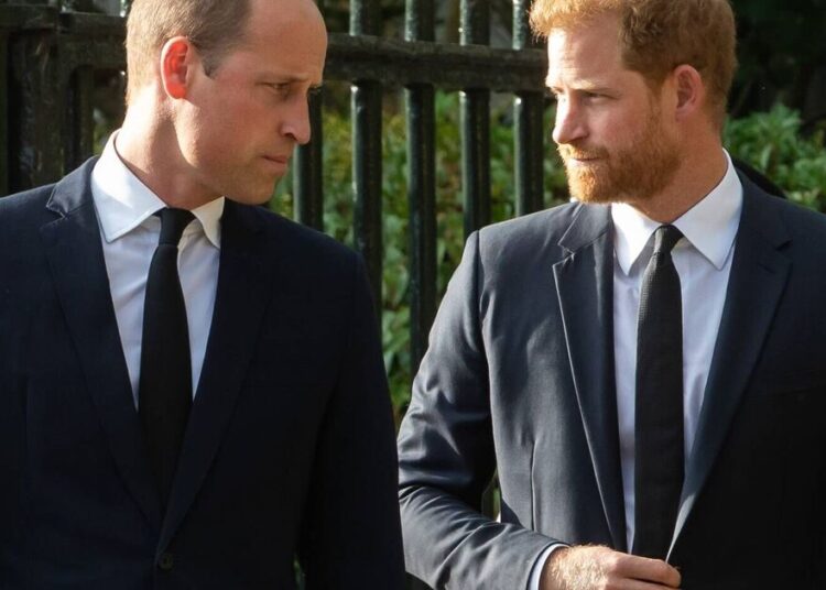 Prince William's 'resentment' towards Harry and 'disappointment' over meeting - Celebrity News - Entertainment