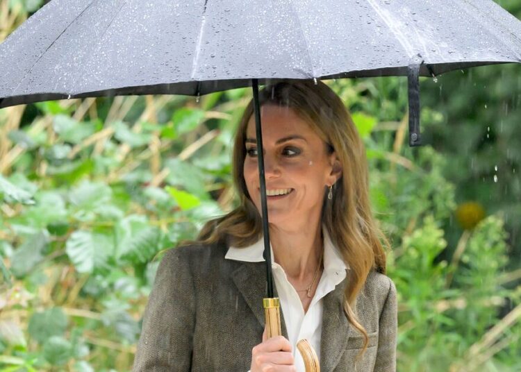 Princess Kate will meet with Harry if he meets one key requirement - Royals - News