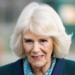 Queen Camilla To Miss Royal Funeral Due To Illness | World News