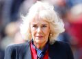Queen Camilla
