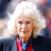 Queen Camilla