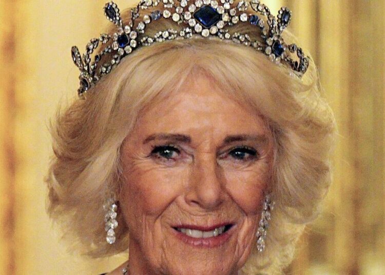 Queen Camilla 'will never forgive' Prince Harry for 'unkind' remarks - Royals - News