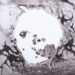 Radiohead fans hope for ‘new music’ as band collaborator begins sharing new artwork