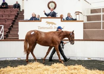 Royal Ascot Success Propelling Tatts September Sale