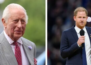 Royal Family LIVE: Prince Harry and King Charles peace hopes 'done' if 1 thing happens | Royal | News