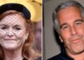 Royal Family member apologized to Epstein after they publicly cut ties - Celebrity News - Entertainment