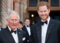 Royal Family shares major update after King Charles, Prince Harry meeting