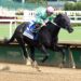 Royal Spa Becomes Millionaire With Locust Grove Win