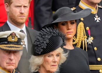 Royal drama: Mali meets King Charles just after Harry reunion - News