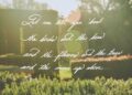 Royal fans baffled by Meghan's latest As Ever post and claim they 'can't read' her calligraphy - so can YOU make it out?