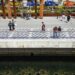 Seattle Waterfront Park will host grand opening celebration Saturday | Entertainment