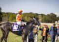 Shisospicy Stamps Breeders' Cup Credentials In Music City - Paulick Report