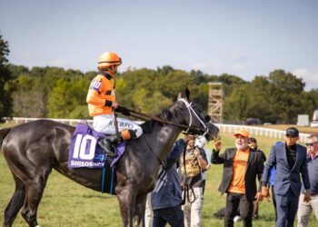 Shisospicy Stamps Breeders' Cup Credentials In Music City - Paulick Report