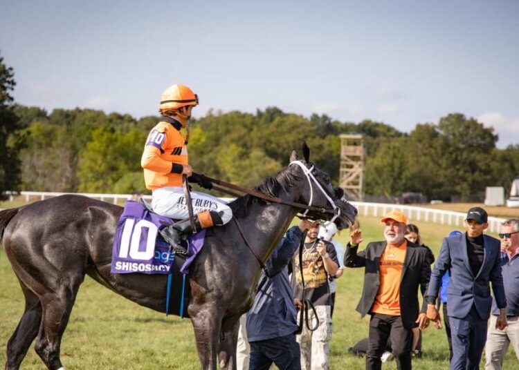 Shisospicy Stamps Breeders' Cup Credentials In Music City - Paulick Report