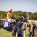 Shisospicy Stamps Breeders' Cup Credentials In Music City - Paulick Report