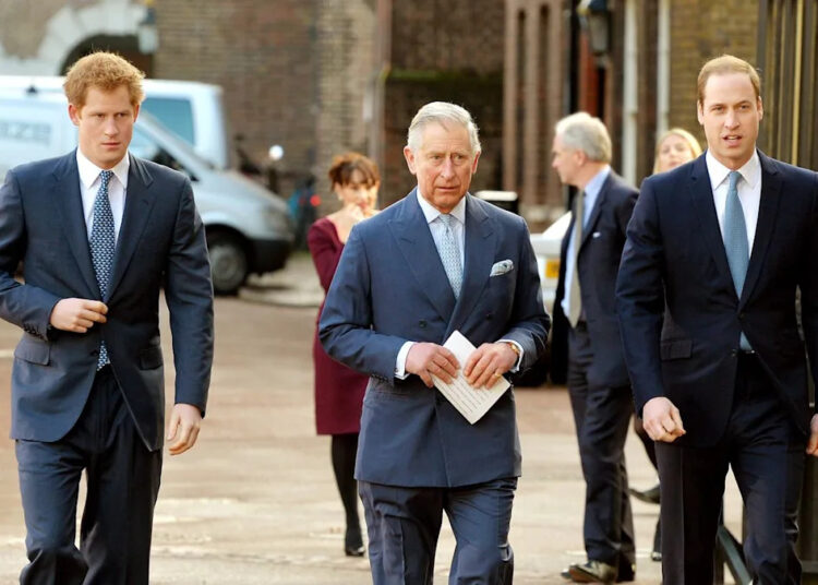 “Team Harry” Accused of “Sinisterly” Driving a Wedge Between King Charles and Prince William