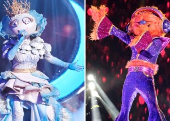 The Masked Singer Season 13 Cast Spoilers, Every Clue & Reveal