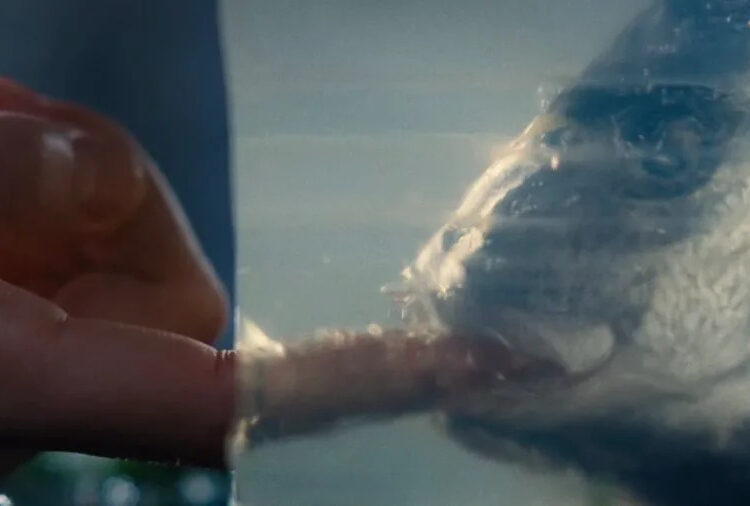 The Wuthering Heights Trailer Proves What Trailers Should Actually Accomplish