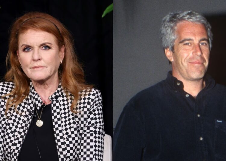 The institution should be ‘very concerned’ about future ‘Epstein documents’