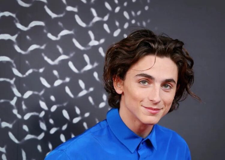 Timothée Chalamet Is Reportedly Set to Earn $25 Million on His Next Movie