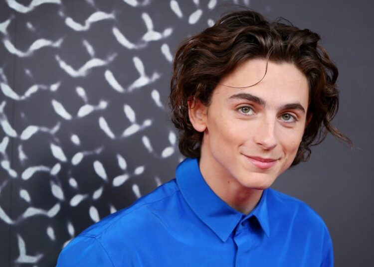 Timothée Chalamet's Net Worth and 'Dune' Salary