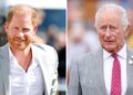 What’s Next for Prince Harry and King Charles After Their Meeting?