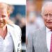 What’s Next for Prince Harry and King Charles After Their Meeting?