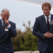 Why King Charles Won't Allow Harry to Return to Royal Life