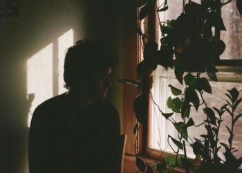 Will Lawrence new album