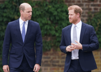 William’s Plans To ‘Fight Back’ Over Harry’s Princess Diana Doc