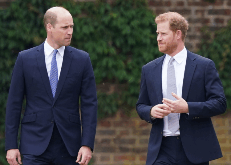 William’s Plans To ‘Fight Back’ Over Harry’s Princess Diana Doc