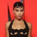 Zoe Kravitz’s Catwoman Return Uncertain — ‘No Deal’ for ‘The Batman Part II’ Yet (Exclusive) – Star Magazine