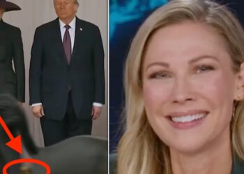 ‘Daily Show’ Spots Horse’s Hilarious ‘Special Salute’ To Trump During UK State Visit