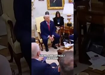 Did you notice Erdogan’s translator Fatima#shorts #shortvideo #trending #actress #celebrity
