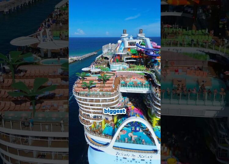 Icon 5 CONFIRMED 🎉 Royal Caribbean just ordered another Icon Class ship! #iconoftheseas #cruise