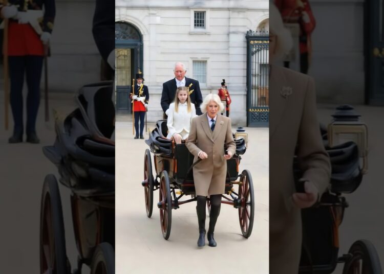 King Charles punished Camilla to drive the Royal buggy #kingcharles #camilla #charlotte #royal