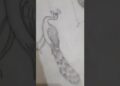 mor sketch #drawing #artist #art #youtubeshorts